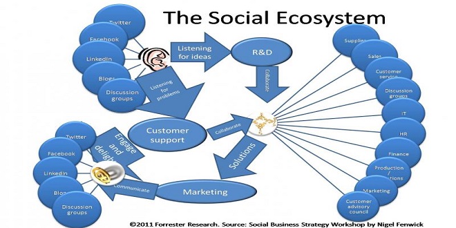 The Social Business Ecosystem